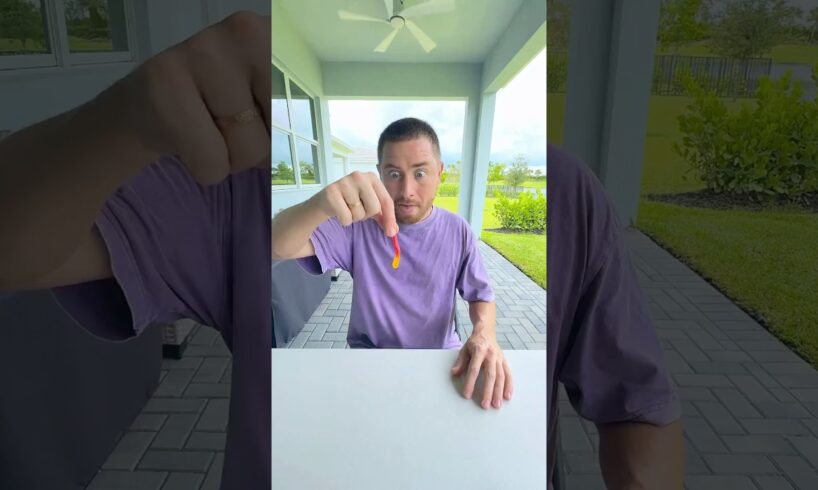 A disabled duckling helps his cat friend🐥#DuckRescue #CuteAnimal #Animal Rescue