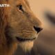 An Adventure Through Africa in 4K | BBC Earth