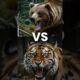 Animal FIghts! #shorts #animal #fights