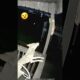 Animal fights amazing