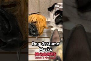 Awesome Dog Costume Masks. #shortvideo #costume #short