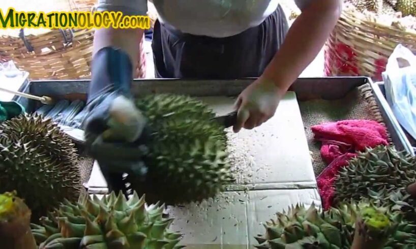 Bangkok Dangerous: Cutting a Durian at Dao Kanong (ดาวคะนอง)