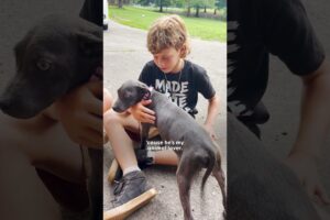 Boy Begs His Mom To Keep The Dog They Rescued From The Street | The Dodo