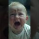 🐕‍🦺🔥 "Brave Dog Saves Little Child from Fire 🚒 | Emotional True Story #HeroDog #ChildRescue #viral