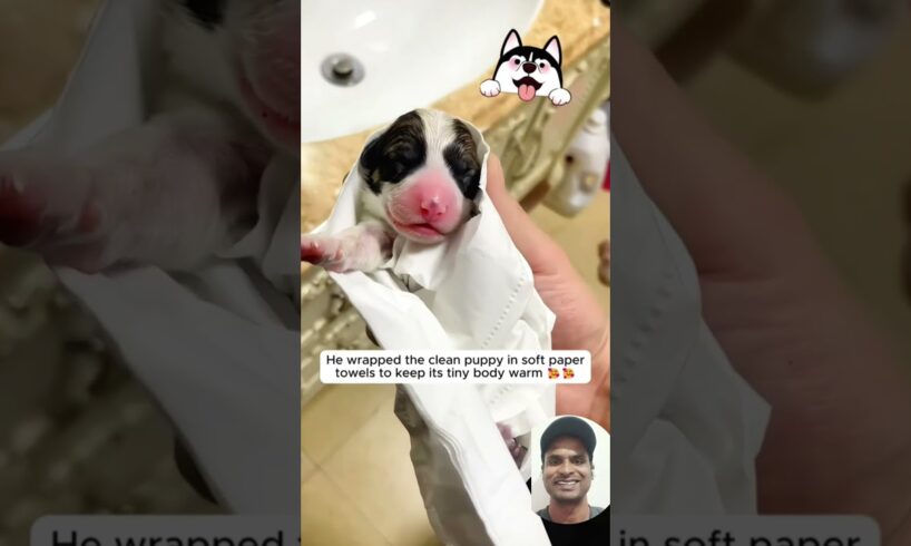 Brave Man Saves Abandoned Puppy🐕😱 from Near Death ...!#cute #dog #puppy