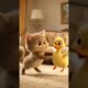 Cat and Duck Playing in Drawing Room 🐱🦆 | Funny Animal Shorts#shortfeed #youtubeshort #aicatstory