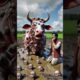 Cow covered in millions of zombies 😭 rescued by farmer , #shorts #trending #ai #rescue