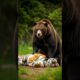 Craziest Animal Fights in the Wild – Top 5 shocking Moments #shorts