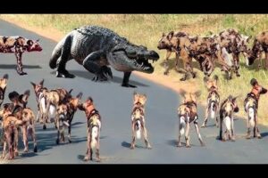 🔥 Craziest Animal Fights of All Time 2025 / Wild Animal Attacks & Predator Fails