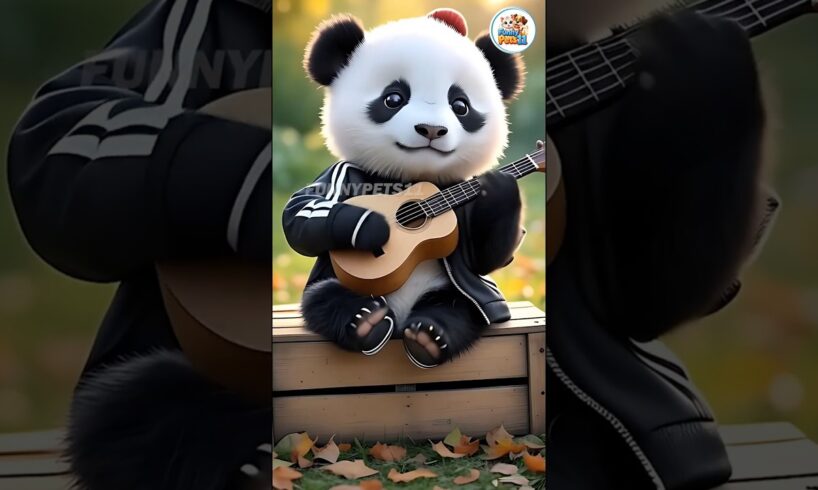 Cute Animals Playing Guitar #guitar #petdance #puppydance #catdance #cat #catlover #short