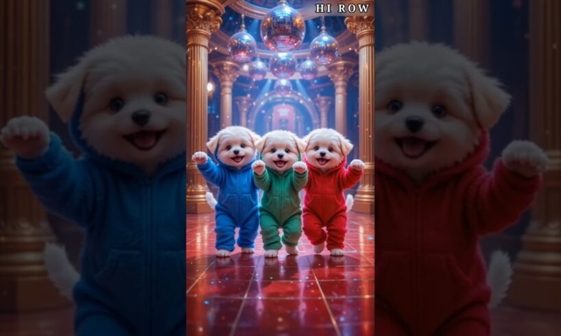Cute Puppies Crazy Dance 💃😱 #funnyvideo #dogshorts #cutepuppy #viraldance #funnyanimals