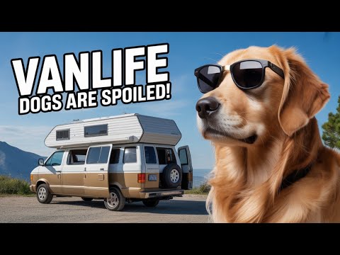 Cute Puppies in Van Life Adventure!  Playing, Exploring, & Having FUN! | #VanLifeDogs