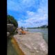 Cute Puppies 🥰♥ super funny Corgi ♥ #shorts #2025