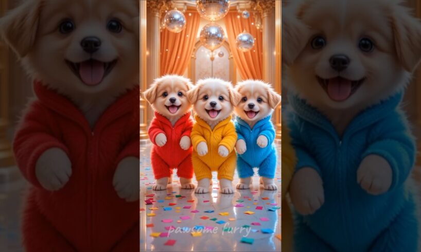 Cute puppies Crazy Dance😆 | #funnyanimals #cutevideos #shorts #viral #usa #122