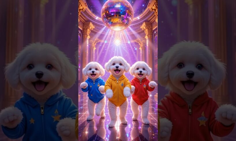 Cute puppies Crazy Dance😍 | #funnyvideo #cutepuppy #viralshorts #dogshorts #120
