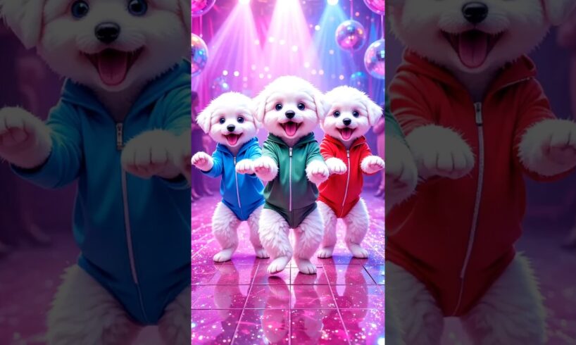 Cute puppies Crazy Dance | #trendingshorts  #cutepuppy #viralshorts #dogshorts #f20