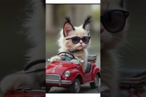"Cutest Puppies & Kitties Compilation! 🐶🐱 Fun for Kids!"