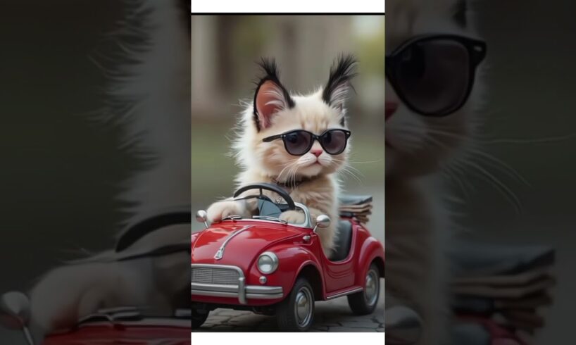 "Cutest Puppies & Kitties Compilation! 🐶🐱 Fun for Kids!"