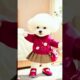 Cutest puppy beautiful dance 🥰🐕💃