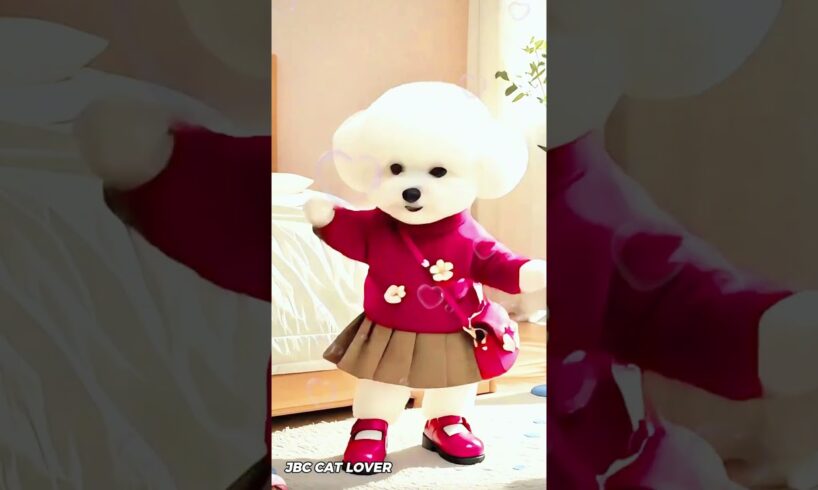 Cutest puppy beautiful dance 🥰🐕💃
