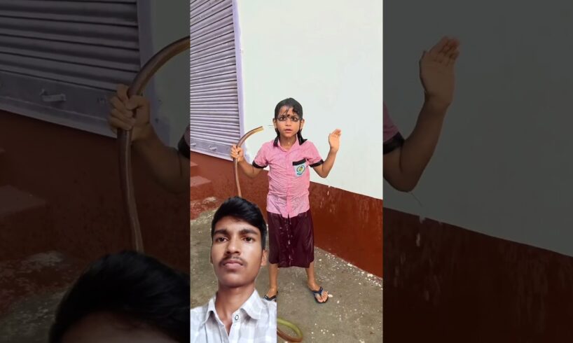 Duckling saves seriously injured cat 🐈, #DuckRescue#CuteAnimals#Animal Rescue