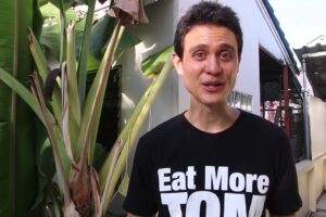 "Eat More Tom Yum" t-shirt - Get Yours Now!