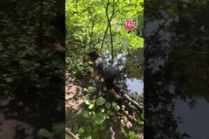 FAILS Of The Week