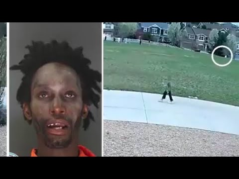 Gruesome Deaths Caught On Camera Episode 17