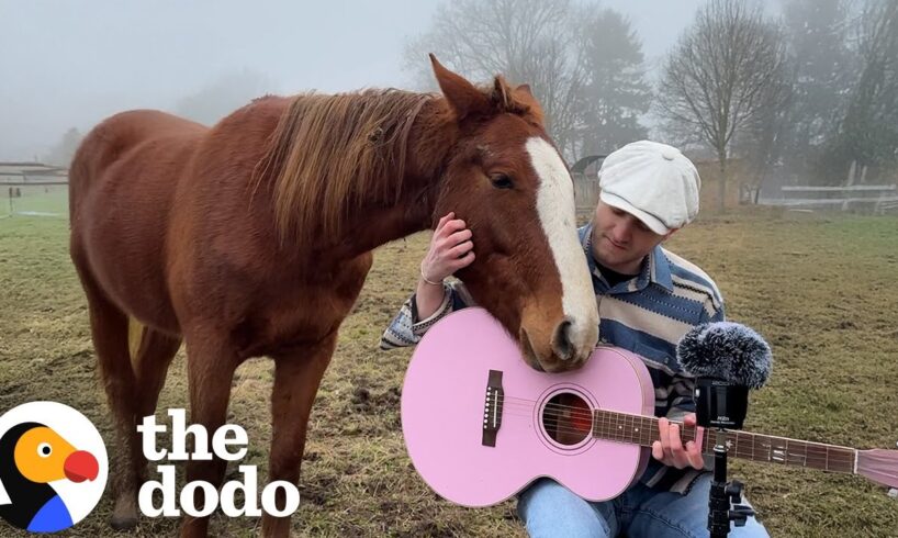 Guy Sings His Heart Out To Animals Everywhere He Goes | The Dodo