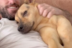 He rescued a dog, but he never expected their bond to be this strong.