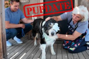 Here's what Happened to Cassie...🥺 | PUPDATE