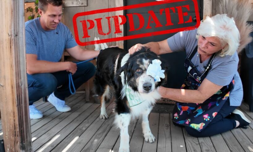 Here's what Happened to Cassie...🥺 | PUPDATE