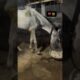 Horse rescue ❤️‍🩹🥺instagram -manavsharma_12  #help #support #savetheanimals #animals #love