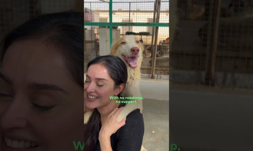 How One Woman Is Transforming Animal Rescue in Pakistan | The Dodo