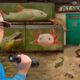 I Found an Abandoned Pet Store!