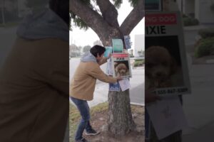 I Rescued An Abandoned Dog