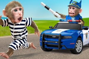 KiKi Monkey become Paw Patrol Police chase thief to rescue & Take Care of Duckling |KUDO ANIMAL KIKI