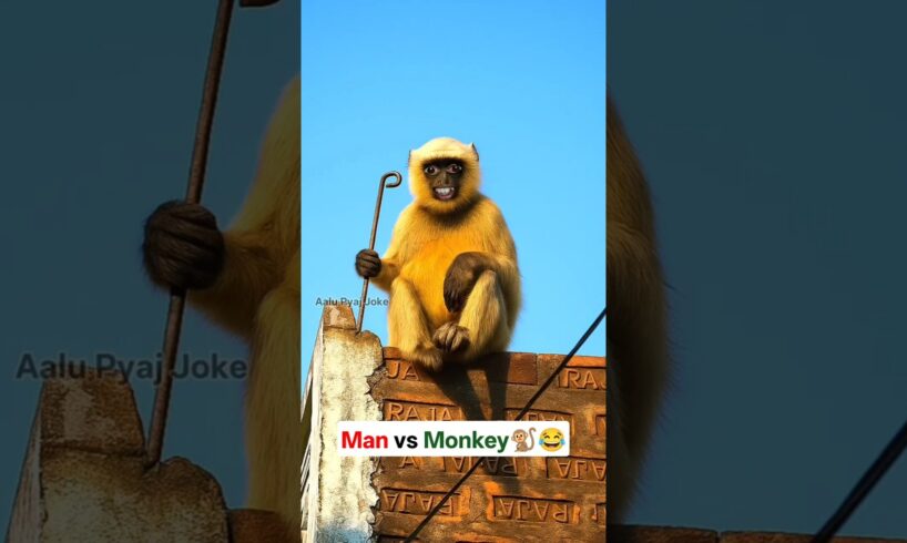 Man vs Monkey🐒😂🤣 #funny #thetharpuns #aalupyajjoke #comedy