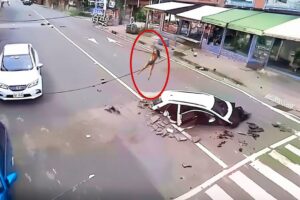 Most Shocking Road Moments Caught on Camera - Best Of Month #103