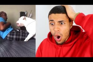 NEAR DEATH EXPERIENCES CAUGHT ON CAMERA! REACTION!