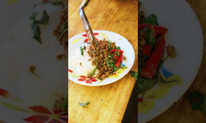 Pad Ka Prow at Phed Mark - Mark Wiens 🌶 | Thailand Street Food | Thailand 🇹🇭 | Bangkok #shorts
