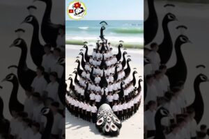 People Are AWESOME! Swan Performance Leaves Crowd Speechless 🦢🔥 Must-See Talent! #RobThrasher