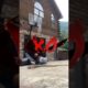 People Are Awesome Pt 2 #trending #fails #funny