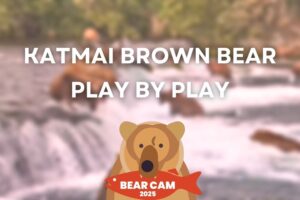 Play by Play 7.15.25 | Brooks Live Chat