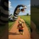 Poor Puppy Saves Pregnant Snake – Heartwarming and Funny Animal Rescue Story #puppy #snake #animals