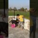 Rottweiler Daisy attack For puppies⚠️❌#rottweiler #puppy #security #doglover