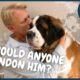 Saint Bernard Abandoned For Being Too Big! | Rescue Vet with Dr Scott Miller