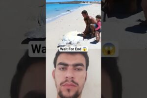 Sea Turtle Rescue Gone Wrong 😱Emotional Ending #AnimalRescue #SeaTurtle#shorts