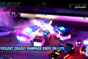 Stolen Car Chase Ends in DEADLY Crash! (Florida Police Footage Compilation)