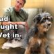 Terrified Rescue Dog Won’t Let Anyone Touch Him, HERE’S Why! 😳